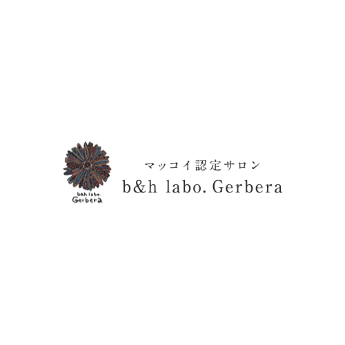 b&h labo. Gerbera｜取り扱っているサロンアイテムの紹介